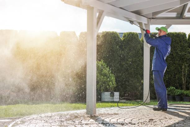 Best Driveway Cleaning and Restoration in Hermann, MO